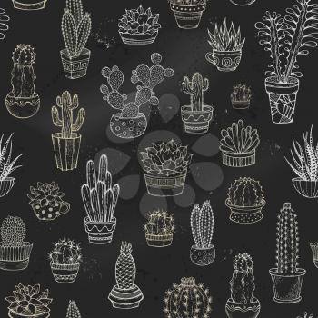 Various cacti in flowerpots and cups on blackboard background. Dark boundless background.