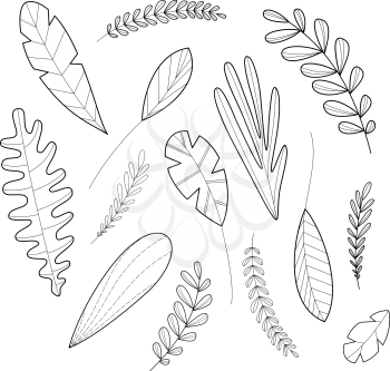 Black contours of leaves and grass isolated on a white background. Linear nature illustration. Can be used for a coloring book for adults.