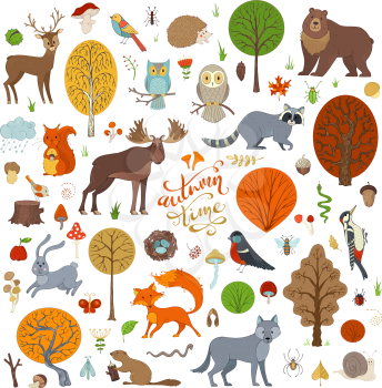 Adorable collection for children books, invitations and posters. Beaver, deer, fox, hedgehog, owl, rabbit, raccoon, snail, squirrel, bee, ant, mushroom.