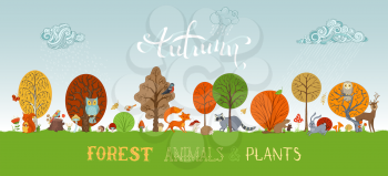 Cute moose, hare, fox, deer, owl, squirrel, wolf, hedgehog. Autumn trees and leaves, mushrooms, clouds and rain. Grass and sky.