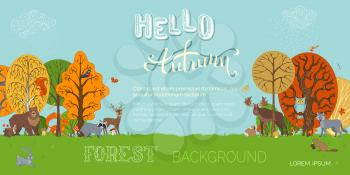 Vector forest background in cartoon style. Adorable woodland wild animals and birds in forest. Fox, moose, deer, hare, squirrel, racoon, hedgehog, owl, beaver between autumn trees.