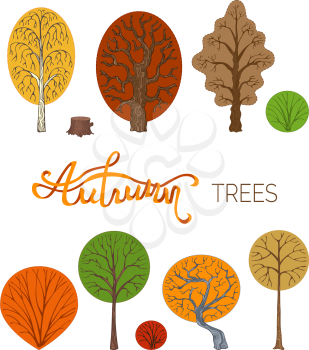 Birch, oak, chestnut, bush, tree stump and others trees made in cartoon style.