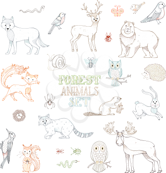 Linear animals isolated on white background. Moose, bear, fox, wolf, deer, owl, hare, squirrel, raccoon, hedgehog and other mammals and birds.