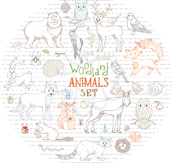 Linear hedgehog, wolf, beaver, deer, fox, owl, hare, snail, squirrel. Zoo collection for children books, birthday invitations and posters.