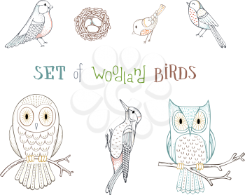 Hand-drawn adorable owls on branches, nest with eggs, bullfinch, woodpecker and other birds isolated on white background.