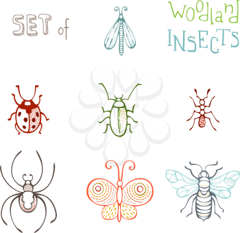 Hand-drawn butterfly, bee, bug, ladybird, ant, spider and moth isolated on white background.