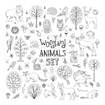 Hand-drawn collection for children colouring books, invitations, cards and posters. Deer, fox, hedgehog, owl, hare, raccoon, snail, squirrel, bee, mushroom, tree.