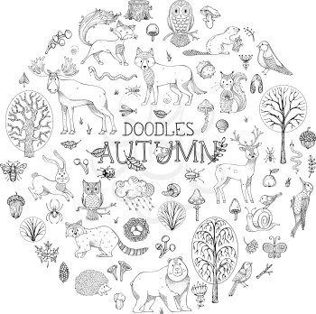 Hand-drawn deer, fox, owl, hare, snail, squirrel, wolf, beaver. Autumn collection for colouring books for children, birthday invitations and posters.