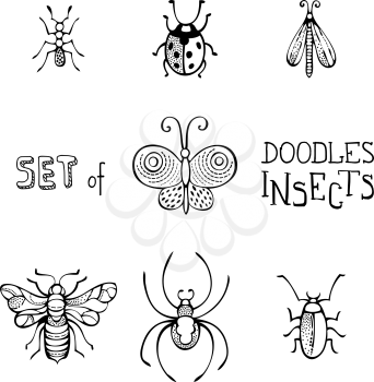 Hand-drawn linear butterfly, bee, bug, ladybird, ant, spider and moth isolated on white background. Can be used in colouring book for children.
