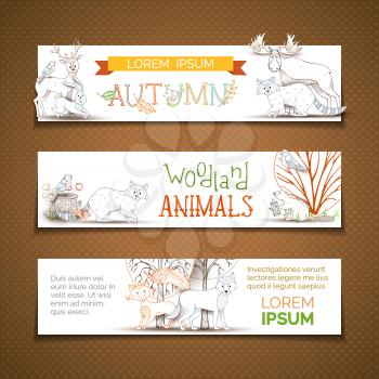 Cute woodland wild animals in forest made in cartoon style. Fox, deer, elk, hare, wolf, squirrel, raccoon, beaver. Autumn trees, bushes and leaves.