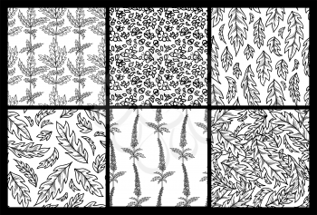Outline black tiny flowers and pinnate leaves on white background. Monochrome spring and summer boundless backgrounds. Tileable design elements.