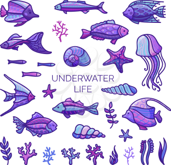 Vector set of fish, sea plants and algae, shells and sea stars, jellyfish isolated on white background. Cartoon icons set.
