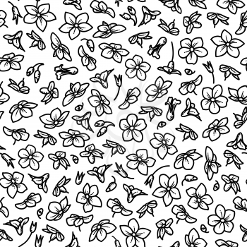 Forget-me-nots boundless background. Black linear tiny flowerson white background. Tileable design element.