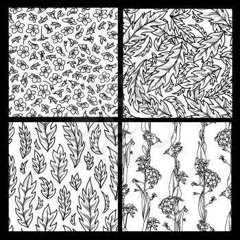 Forget-me-nots and pinnate leaves boundless backgrounds. Black linear tiny flowers and leaves on white background. Tileable design elements.