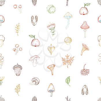 Colored outline maple seed, apple, tree branch, autumn leaf, mushroom, fir-cone, flower, acorn and chestnut. Bright boundless background for your design.