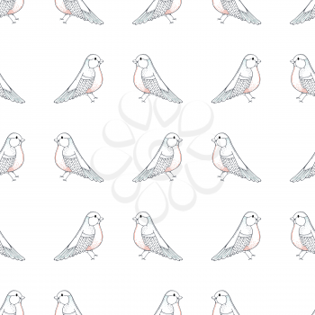 Colored contours of birds on white background. Boundless background for your design. Seamless repeating tiles.