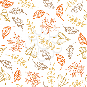 Colored outline maple, ash, oak, rowan and linden leaves on white background. Fall boundless background. Tileable elements.