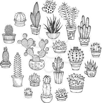 Home plants in pots and cups. A variety of outlined cactuses and succulents with flowers, spines and without. Can be used to colouring book for adults.