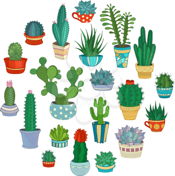 A variety of decorative cactus in flower pots and cups. Some of them are with prickles or flowers.