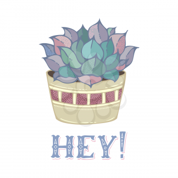 Succulent plant in flower pot on white background. Hand-drawn illustration and lettering. Good for greeting cards, posters, invitations, etc. 
