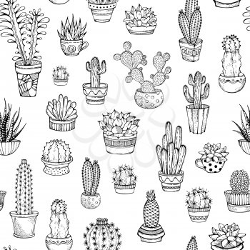 Various cacti with prickles and flowers in flower pots or cups. Boundless background. Can be used to colouring book for adults.
