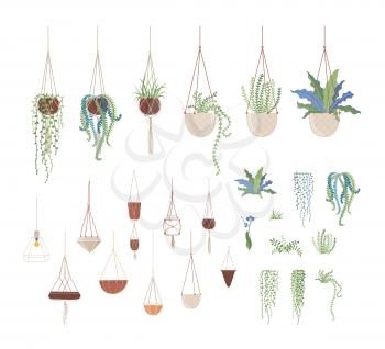 Domestic plants and hanging pots flat vector illustrations set. Clay flowerpots on ropes, interior design elements pack. Greenery, domestic flowers, houseplants collection isolated on white background