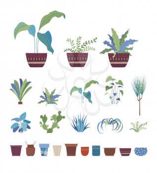 Houseplants, flowers in pots flat vector illustrations set. Clay flowerpots with home plants, interior design elements pack. Greenery, domestic flowers collection isolated on white background