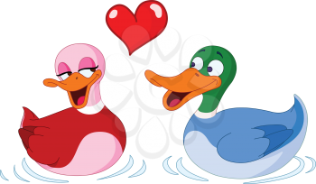 In love ducks