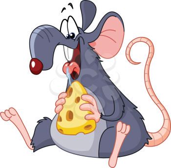 Rat eating cheese