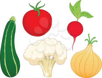 Vegetable set: zucchini, tomato, radish, onion and cauliflower