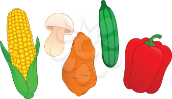 Vegetable set: corn, mushroom, sweet potato, cucumber and pepper