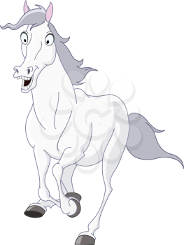 White horse running