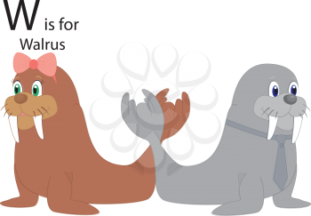 Royalty Free Clipart Image of two walrus making the letter 'W'