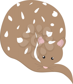 Royalty Free Clipart Image of a Quoll making the letter 'Q'