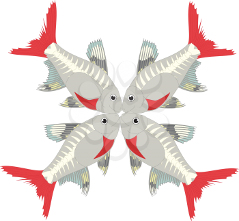 Royalty Free Clipart Image of X-ray tetras making the letter 'X'