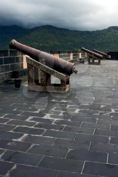 the fortification and a cannon in fort adelaide mauritius