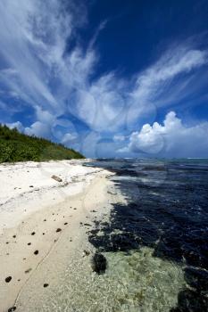 beach rock and stone in ile du cerfs mauritius