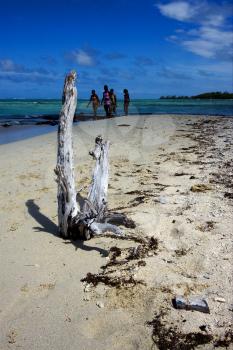 beach seaweed and girls in ile du cerfs mauritius