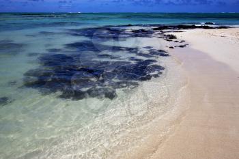 beach in ile du cerfs mauritius