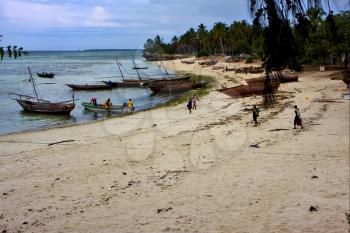 beach seaweed and boat in  kizimkazy bay tanzania zanzibar