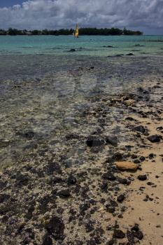 beach rock and stone in deus cocos mauritius