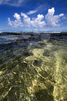 beach and stone in ile du cerfs mauritius