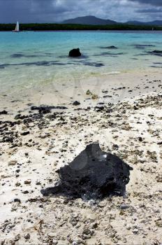 beach rock sail and stone in ile du cerfs mauritius