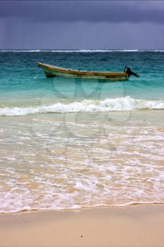 beach seaweed boat and coastline in playa paradiso mexico