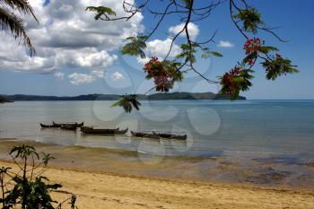  madagascar branch boat palm lagoon and coastline