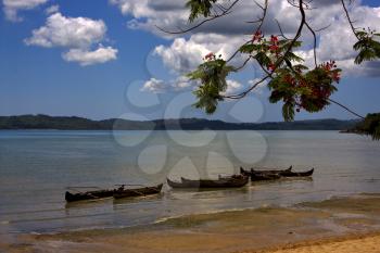 madagascar branch boat palm lagoon and coastline