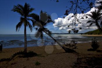  madagascar boat palm lagoon and coastline