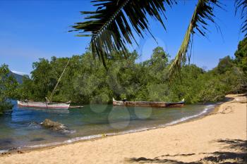  madagascar nosy be  rock stone branch boat palm lagoon and coastline