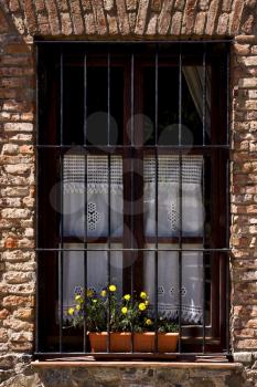 old window grate and yellow flower in the centre of colonia del sacramento uruguay