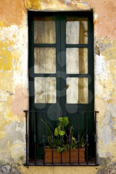 green old window little terrce and flower  in the centre of colonia del sacramento uruguay